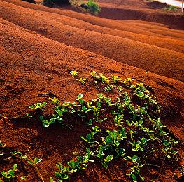 《文明7》领袖预览——薛西斯